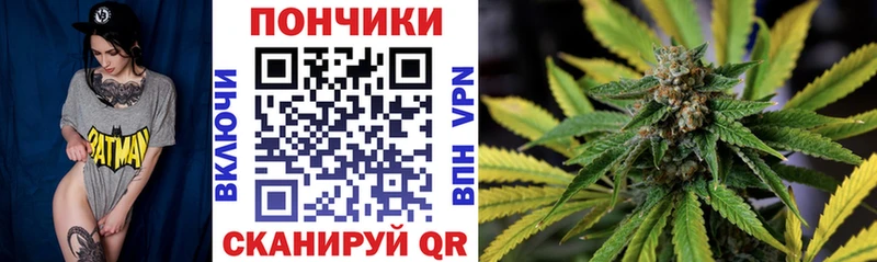 Канабис конопля  закладка  Борзя 
